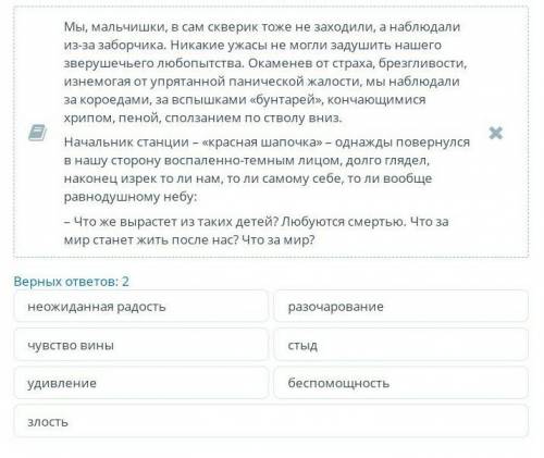 Прочитай текст . Какие чувства испытывает начальник станции ?​