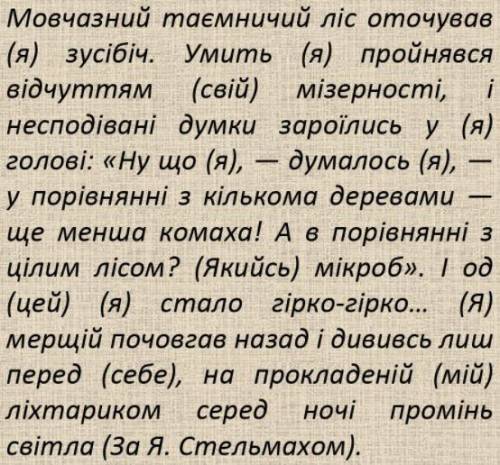 Записати текст. Поставити займенники, що в дужках, у потрібному відмінку. Визначити їх відмінок.