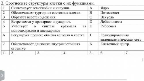 Соотнесите структуры клети с их функциями