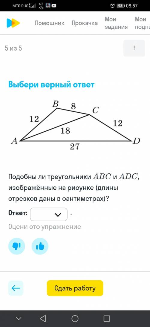 Можно без обьяснения и тд, мне нужны только ответы.