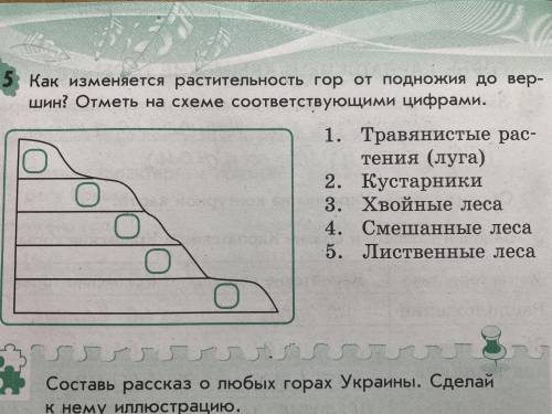 Как изменяется растительность гор от подножия до вершин?Отметь на схеме соответствующими цифрами.