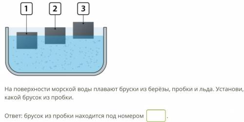 На поверхности морской воды плавают бруски из берёзы, пробки и льда. Установи, какой брусок из пробк