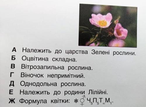 Обери букви, якими позначено ознаки, властиві зображеному організму..