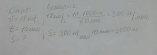 Муха летит со скоростью 18км/ч. Какой путь она пролетит за 10мин.