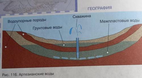 сделать описание рисунка​