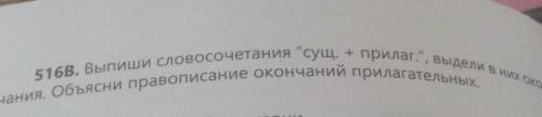 Выпиши словосочетания сущ + прилаг Выдели в них окончание объясни правописание окончаний прилагатель