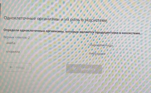 ВИДЕОКОНФЕРЕНЦИЯ Одноклеточные организмы и их роль в экосистеме-.на наОпредели одноклеточные организ