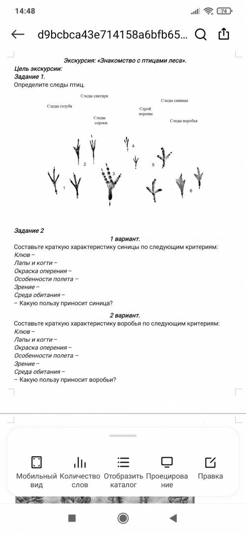 Экскурсия: Знакомство с птицами леса Для 2'го задания - 2'ой вариант