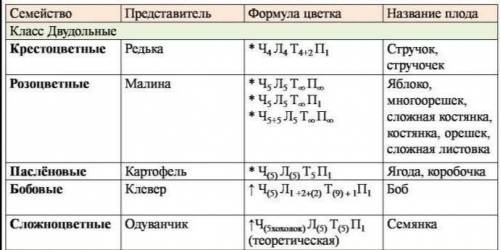 СОСТАВИТЬ ТАБЛИЦУ ПО Биологии на тему семейства класса двудольные. название семейства. формула цветк