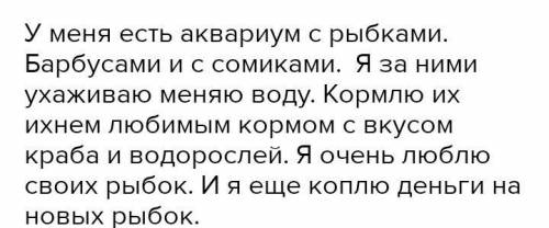 Описываи́ любимый уголок природы. Полстраницы тетрадь.​