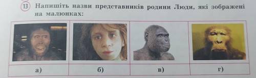 (13) Напишіть назви представників родини Люди, які зображені на малюнках:a)б)в)г)​