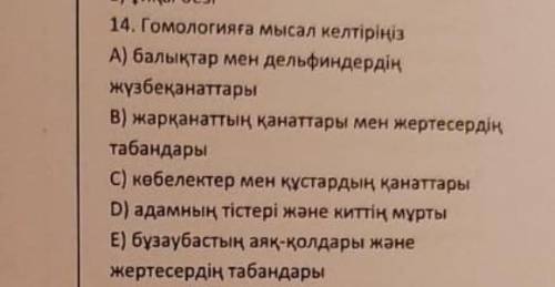 Помагите биология 14. Приведите пример гомологии A) крылья рыб и дельфинов B) крылья летучих мышей и