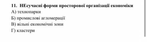 НЕсучасні форми просторової організації економіки: