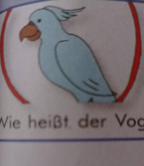 Wie heißt Der Vogel?​