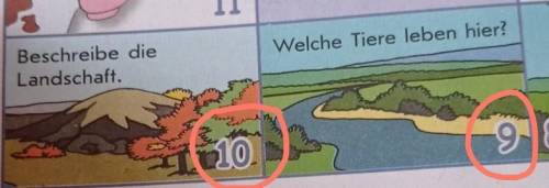 Beschreibe die Landschaft?Welche Tiere leben hier?​