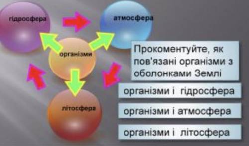 Прокоментуйте,як пов’язані організми з оборонка ми Землі потрібно дати відповідь до гідросфери,літос