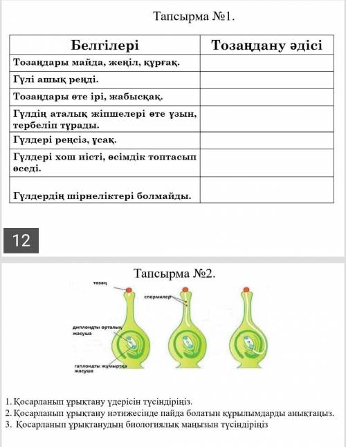 Кто решит дамдададада казахский отынем