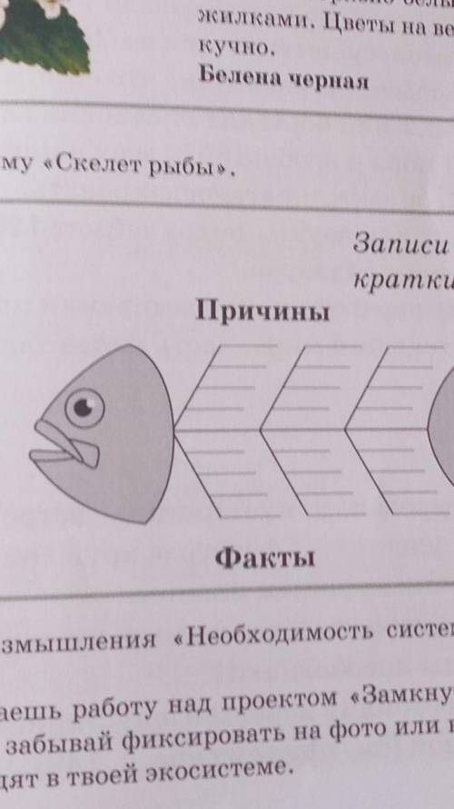 Заполни схему «Скелет рыбы». Записи должны бытькраткими, точными.ПричиныПроблемыВыводФактыТема для р