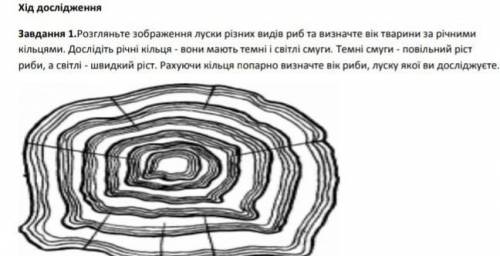 до 14:00 от вас зависит моя оценка​