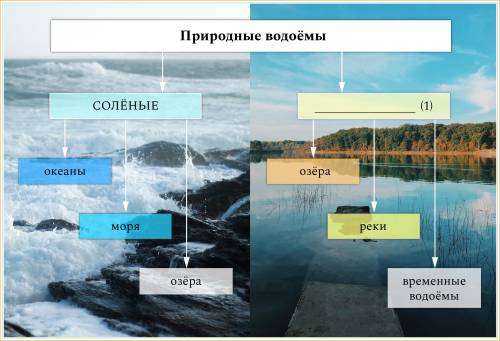 Впиши пропущенные слова в именительном падеже строчными буквами. Это классификация водоёмов по показ