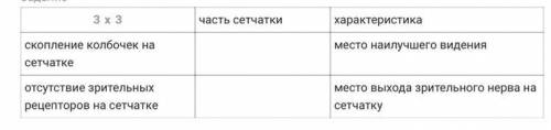 Рассмотрите таблицу Сетчатка глаза и вставьте пропущенные слова в пустые ячейки.