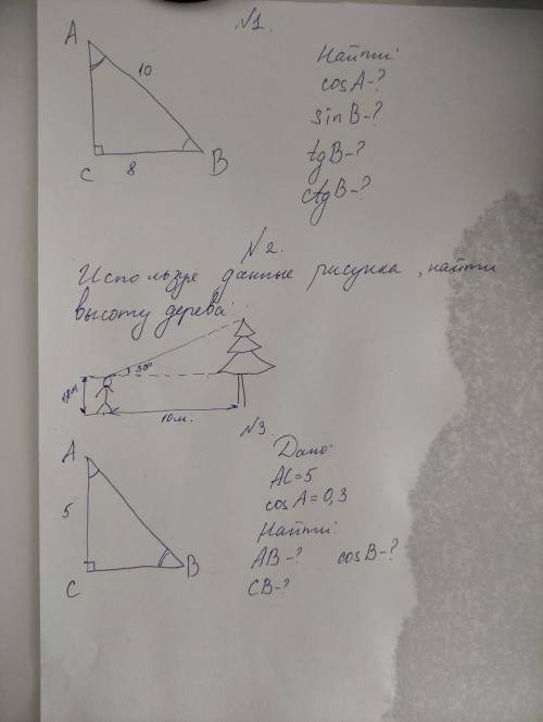 Решить задания на картинке