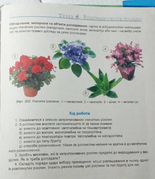 6 клас біологія практична робота номер 4автор: Остапенко, Балан ​