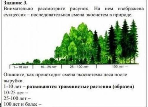 Задание по СОРу , сегодня нужно здать​