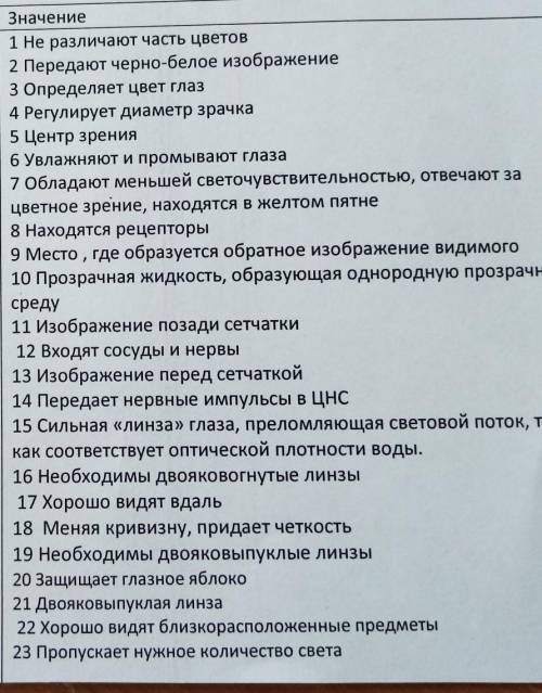 1)Глазница 2)Веки3)Ресницы4)Слезные железы 5)Слезы 6)Белочная оболочка-склера7)Роговица8)Сосудестая 