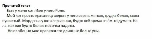 .Из каких частей состоит текст о коте.Запиши предложение-зачин.​​