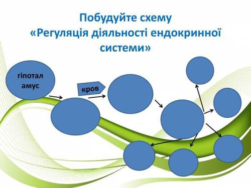 Обудуйте схему «Регуляція діяльності ендокринної системи»