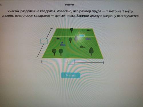 решить? Участок разделен на квадраты. Известно, что размер пруда 1 метр на 1 метр, а длины всеъх сто