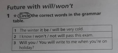 Future with will/won't 1 * Circle the correct words in the grammartable.1 The winter it be / will be