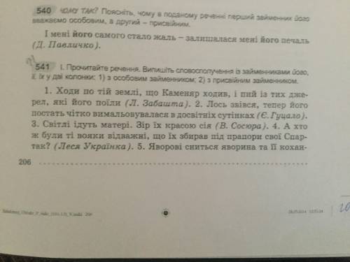 Виконай вправу 541 (1). Потім запиши останнє речення, визнач у ньому граматичні основи.Поясни розділ