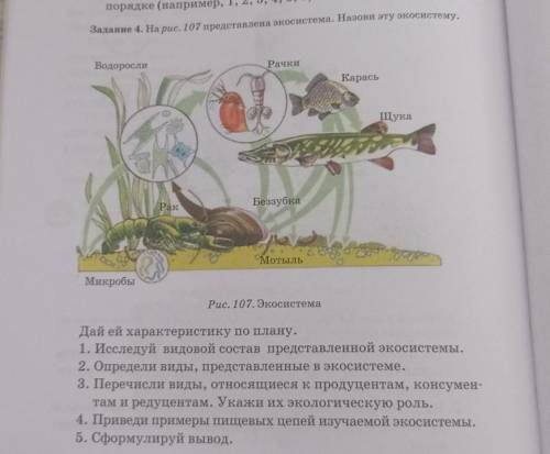 Задание 4. На рис. 107 представлена экосистема. Назови эту экосистему. ВодорослиРачкиКарасьЩукаРакБе