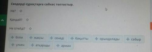 Сөздерді сұрақтарға сәйкес топтастыр. шолуНе?Қандай?ыНе істейді?білімжақсыИ сенедібақыттыорындаладыс