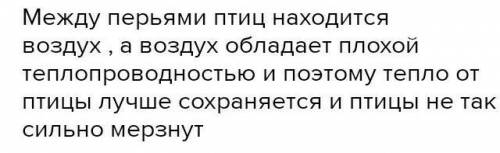 Во время сильных зимних Морозов птицы нахохливаются. Зачем? Бывает ли Так летом? ​