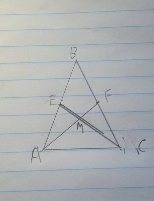 АВС равнобедренный AF CE меДианыдокажите что АМС равнобедренный ​