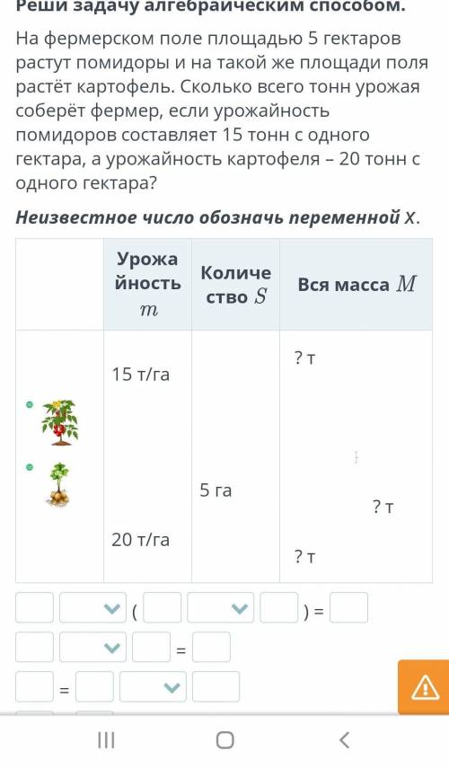 Реши задачу алгебраическим . На фермерском поле площадью 5 гектаров растут помидоры и на такой же пл