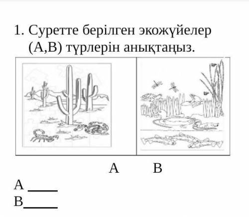 Аталған экожүйелердегі ағзалар түрін анықтаңыз.