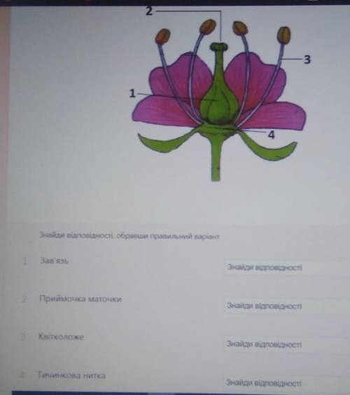 Оберіть варианти Олимпиада !!​