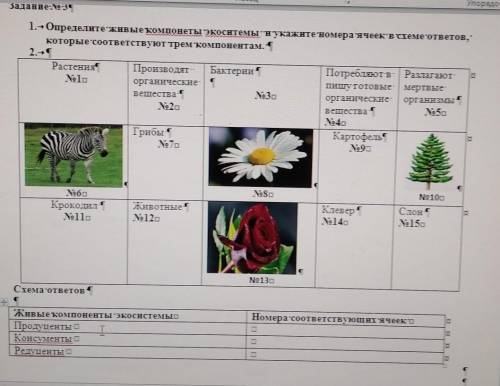 1. Определите живые ҡомпонеты экоситемы и укажите номерасячеек в схеме-ответот котор соответству т т