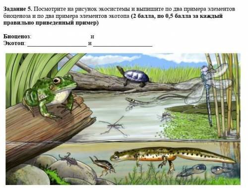 Задание 5. Посмотрите на рисунок экосистемы и выпишите по два примера элементов биоценоза и по два п