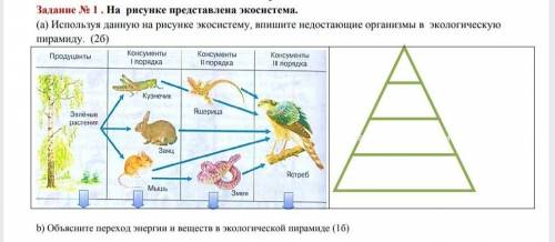 с этим заданием мне очень нужно​