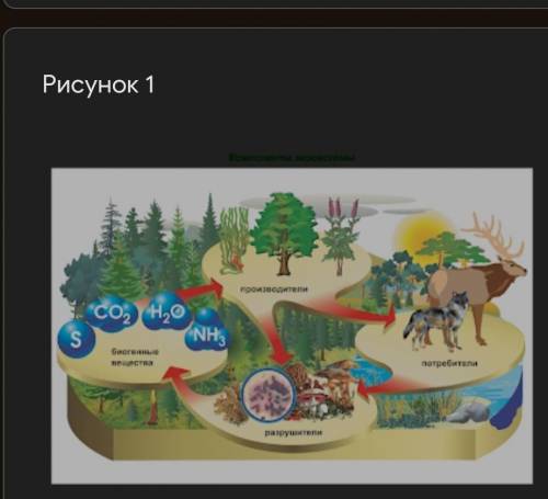 СОР 1. На рисунке 1 представлена экосистема. А) Используя данные на рисунке, составьте экологическую