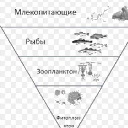 Всем привет сделать 3 задания у меня сор идёт выручите​