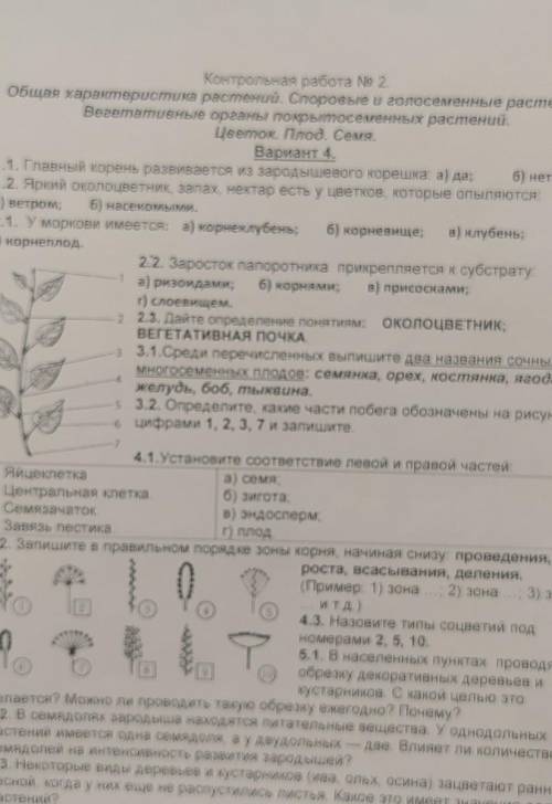 Определите какие части побега обозначены на рисунке цифрами 1,2,3,7​