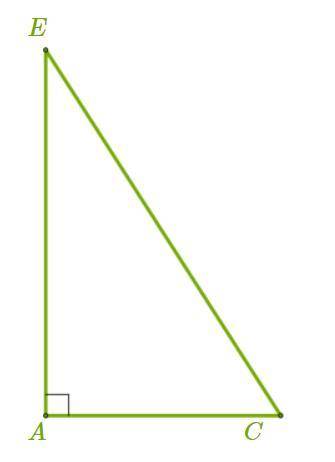 Дан прямоугольный треугольник AEC. Определи ∡ C, если ∡ E = 28°. ∡ C = °.