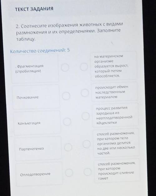 2. Соотнесите изображения животных с видами размножения и их определениями. Заполнитетаблицу.​