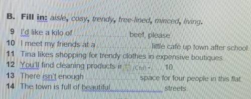 B. Fill in: aisle, cosy, trendy, free-lined, minced, living.IMINIWIN9 P'd like a kilo of10 I meet my